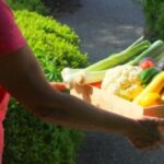 article mise en valeur